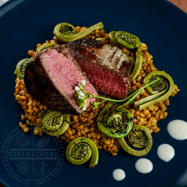 Seared beef tenderloin medallions with simmered einkorn (heirloom wheatberries), sauteed fiddleheads, and a horseradish-yogurt cream on a dark blue plate