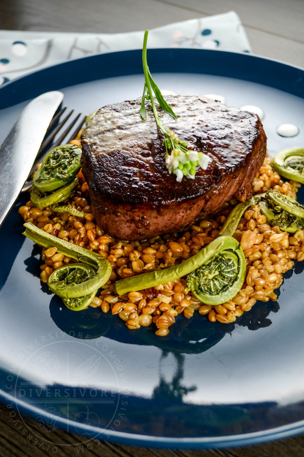 Seared beef tenderloin medallions with simmered einkorn (heirloom wheatberries), sauteed fiddleheads, and a horseradish-yogurt cream on a dark blue plate with a fork and knife