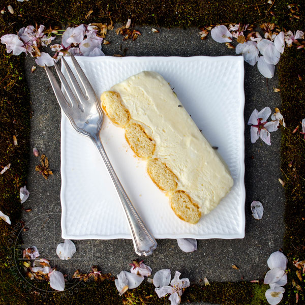 A slice of Easy Lemon and Lavender Semifreddo on a square white plate with a fork, surrounded by cherry petals