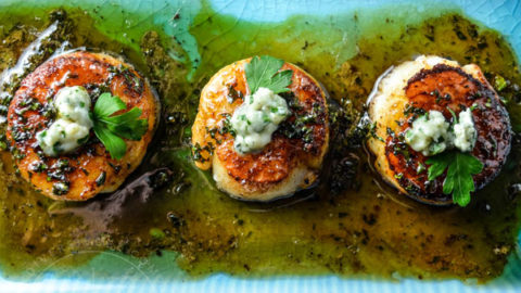 File:Scallops with cheese from La Rosa Nautica restaurant.jpg - Wikimedia  Commons