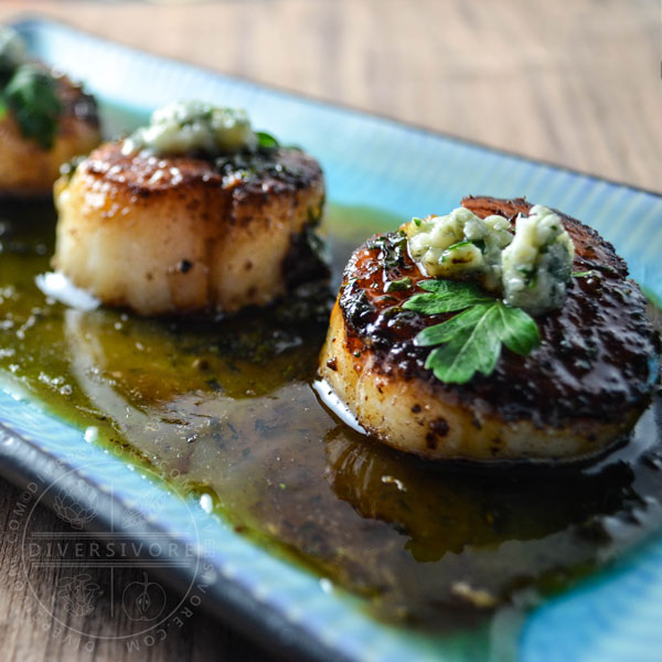 Seared scallops with a honey-parsley gastrique and blue cheese