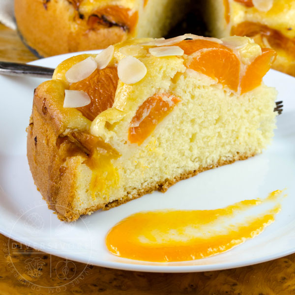 Easy Apricot Cake – light, soft, moist - Carbgirl
