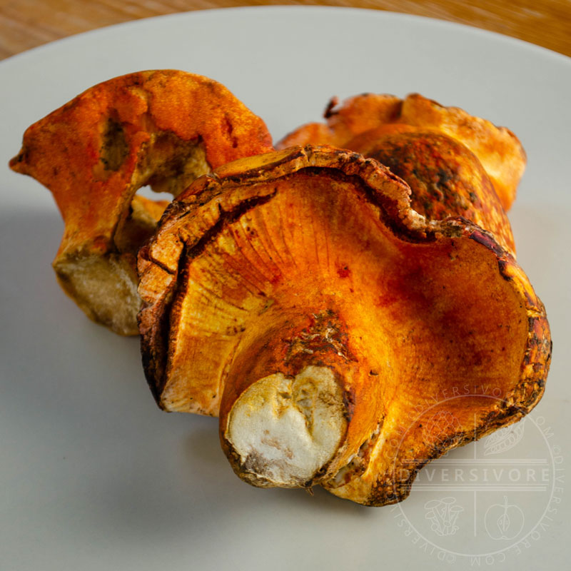 Lobster mushrooms on a plate